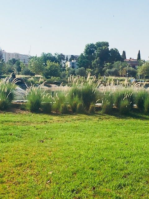 Parc Champ de Course